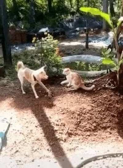 Never underestimate your opponent