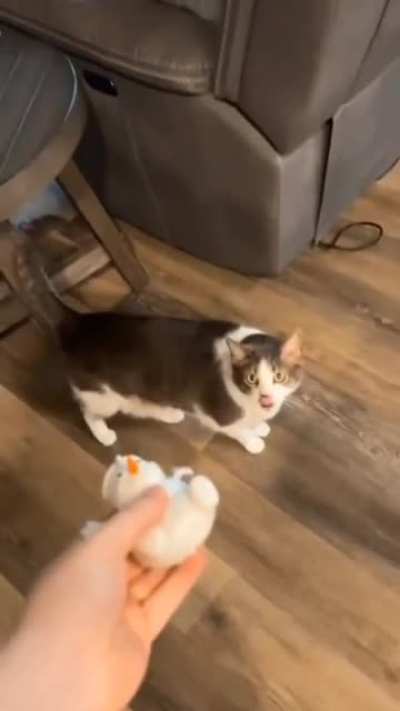 AAAAAAAAAAAAAAAA