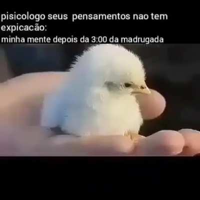 Mudei de ideia