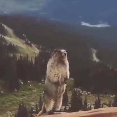Blursed_Scream