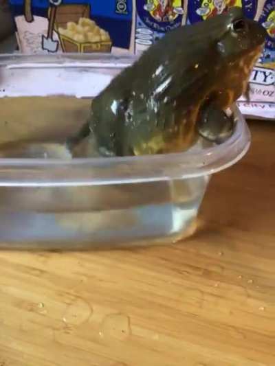 Hulk said &ldquo;Bath time is over!!!&rdquo;