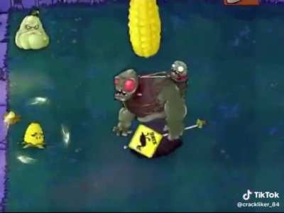 Pvz after the incident