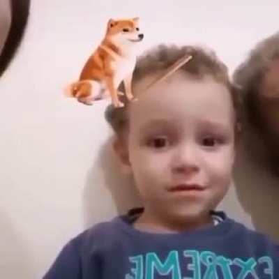 Bonk