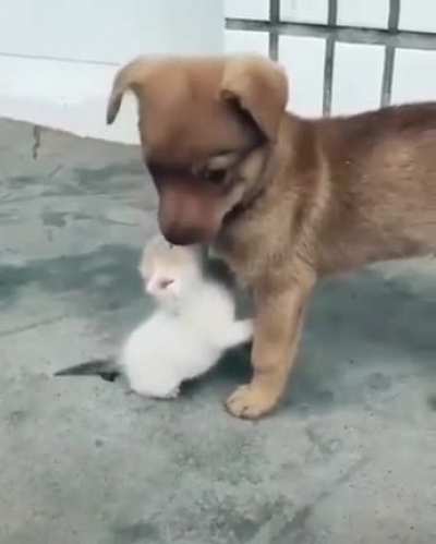 Tiny with tinier