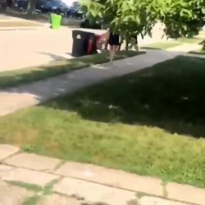 Black Guy Gets Beaten and Dogs Sicced on Him for 