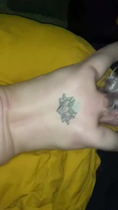 Big Dick Petite Pronebone