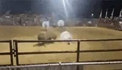 New extreme sport - Soccerodeo