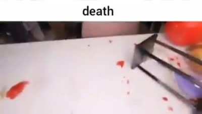 WaterMelon With An Explosive Flavour