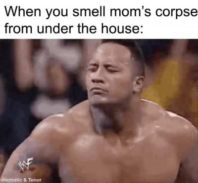 sniff