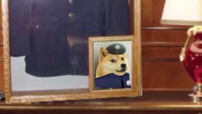 Doge sets things in to motion