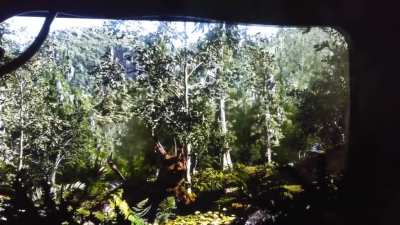 Tyrannosaurus is thought to have been an ambush predator, sneaking as close as possible to its prey before quickly attacking. But even the most efficient predators aren&rsquo;t always successful.