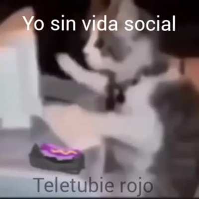 Youtuber con escuela