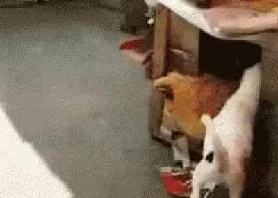 Didn't see that cuming