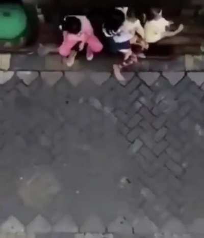 OLHA MACACO!!!