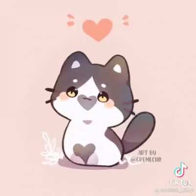 Cute cat