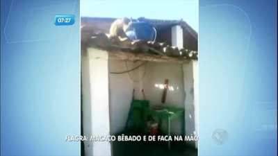 olutìT