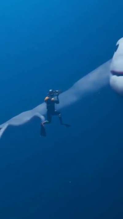 If I wasn&rsquo;t afraid of the water before, I am now