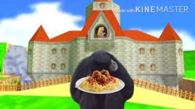 the mario man 64 ninchickentender described using a bonobobobobo ape