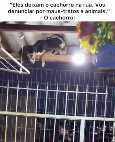 beleza po