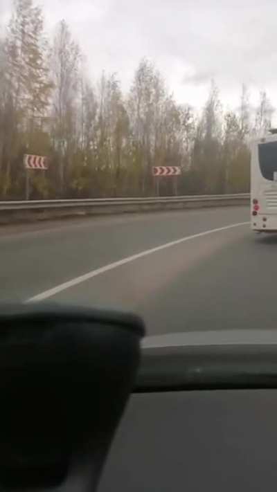 Вот сука!