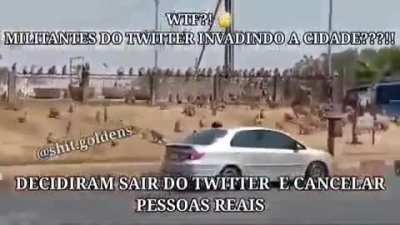 Olha o macaco.