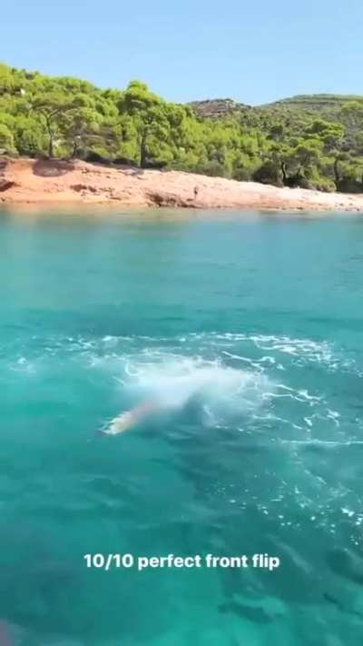 Front Flip Fail