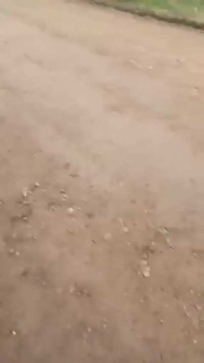La forma de lidiar con los vendedores de medias en la calle se va poniendo mas y mas complejo