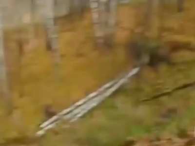 HMFT after trying to roll down the hill