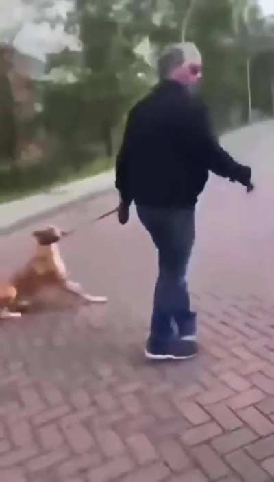 Harassing a passerby in Netherlands