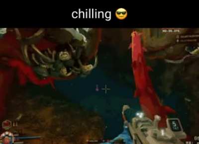 They&rsquo;re chilling
