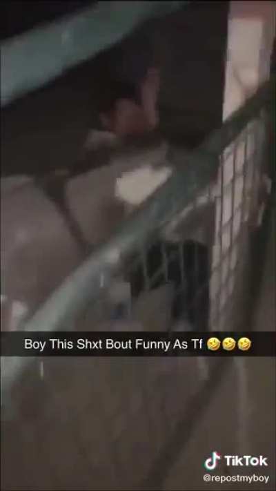 Nigga got fucked up by a donkey smh 🤦🏾&zwj;♂️