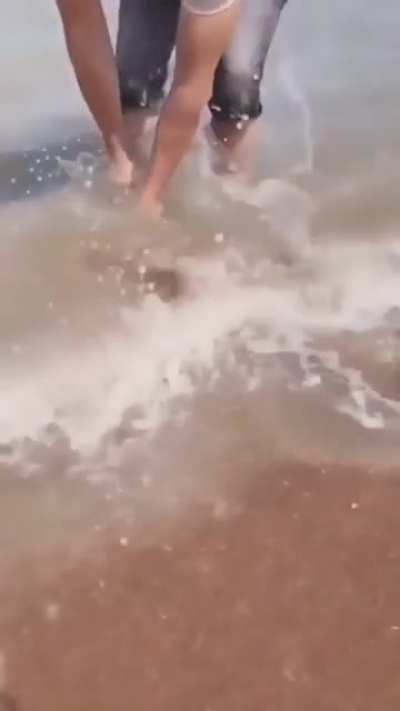 MonkaW