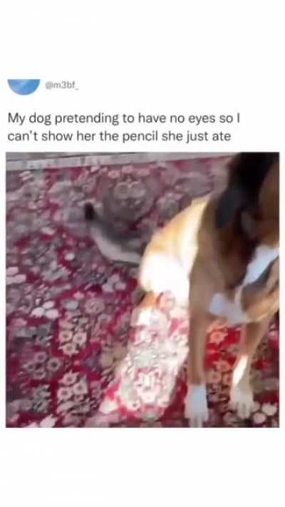 I see nothing hooman