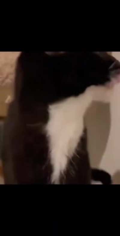 Boink