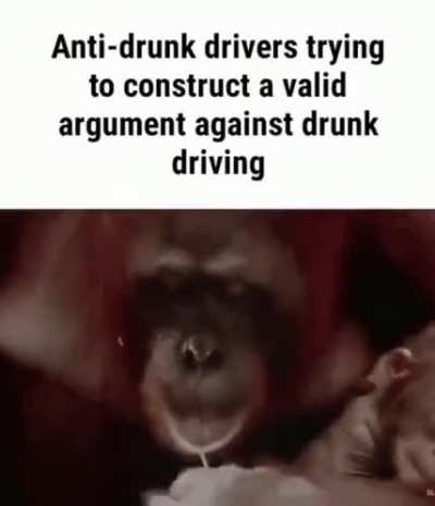 Drunk crashers