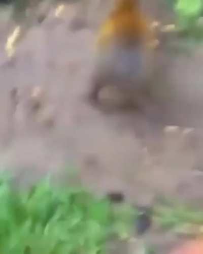 hmm
