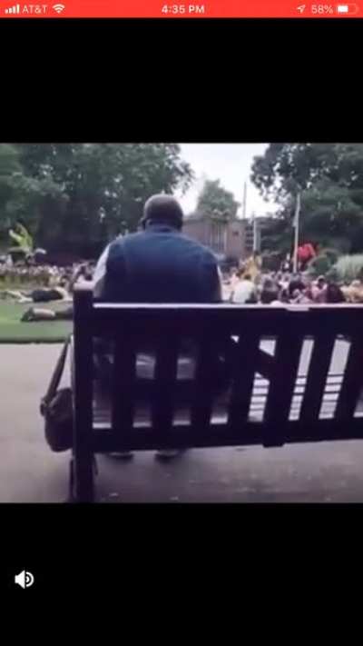 Old man gets entire park to sing Livin&rsquo; On A Prayer by Bon Jovi