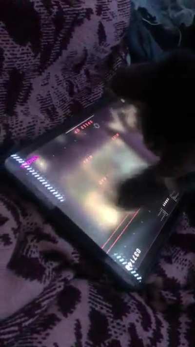Follow up to my post from a month ago or so, here&rsquo;s my cat playing Cytus he stopped tho i guess it was too hard 😭😭😭