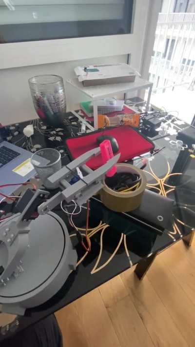 DIY robotic arm