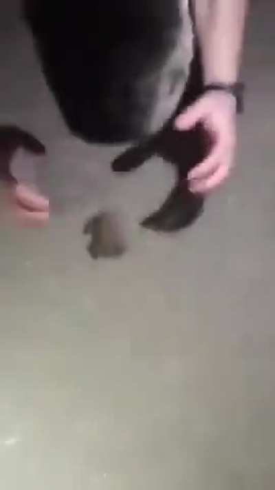рулр