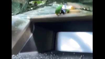 Rip the Link on my car dashboard
