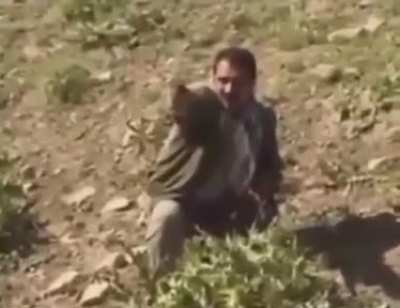 Yeşil&ccedil;am Filmleri olur gibi.