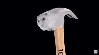 Hammer