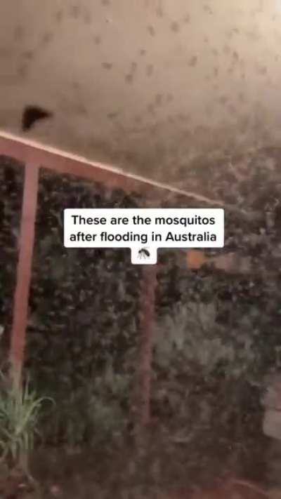 I think I&rsquo;ll stay inside thanks.