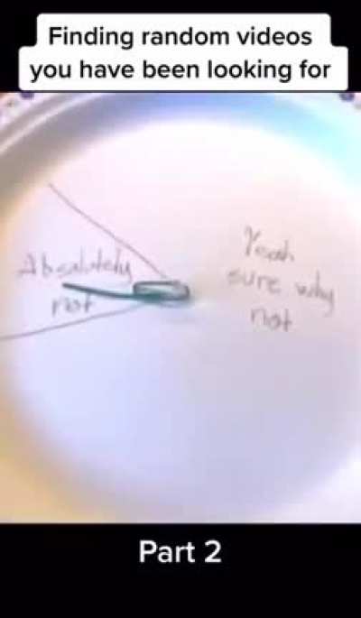 Don't mess with the plates