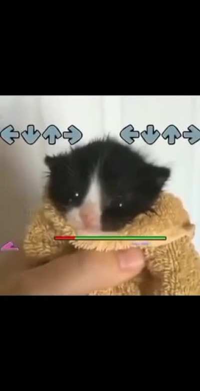 Memes de fnf???