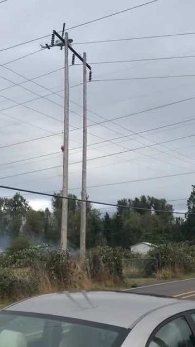 Active brush fire on Seavy Lp off Hwy 58. Fire crews on site. Immediate area evacuated.