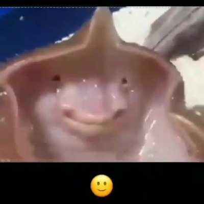😂🙂