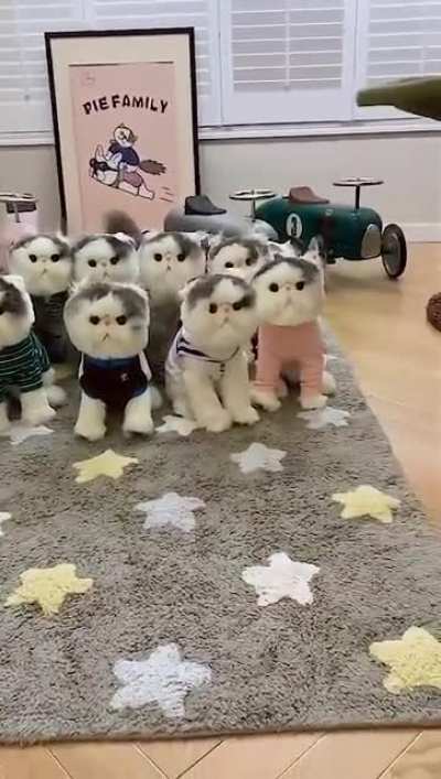командир и призывники ...