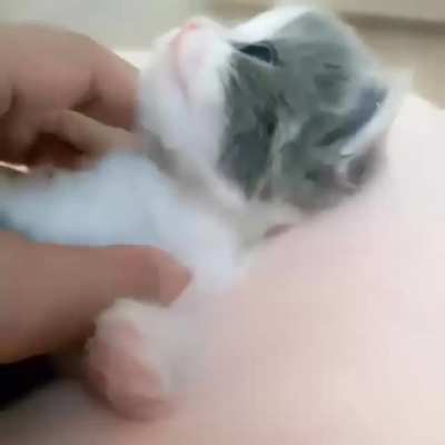 Sweet eyes